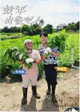 我们约会吧慢生活季乡村慢综艺海报